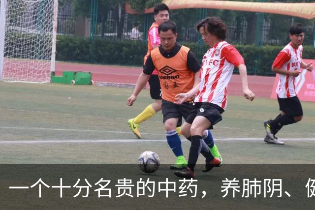 一个十分名贵的中药，养肺阴、健脾胃、补肾精，还对糖尿病有疗效