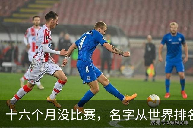 十六个月没比赛，名字从世界排名上消失：19岁的全红婵，还能自己走回去吗？